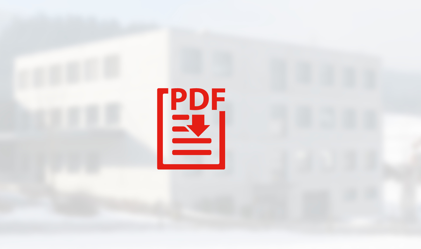Systec Therm - Fattura in formato PDF